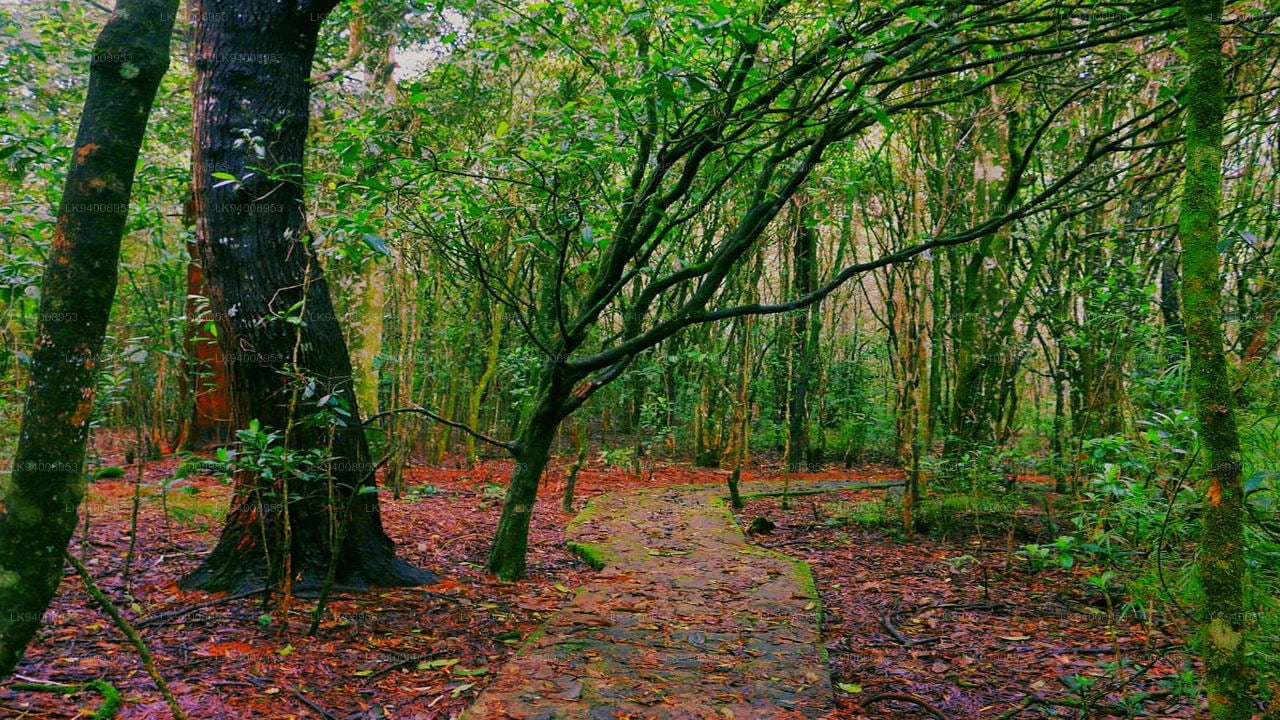 Galways Land National Park Sri Lanka